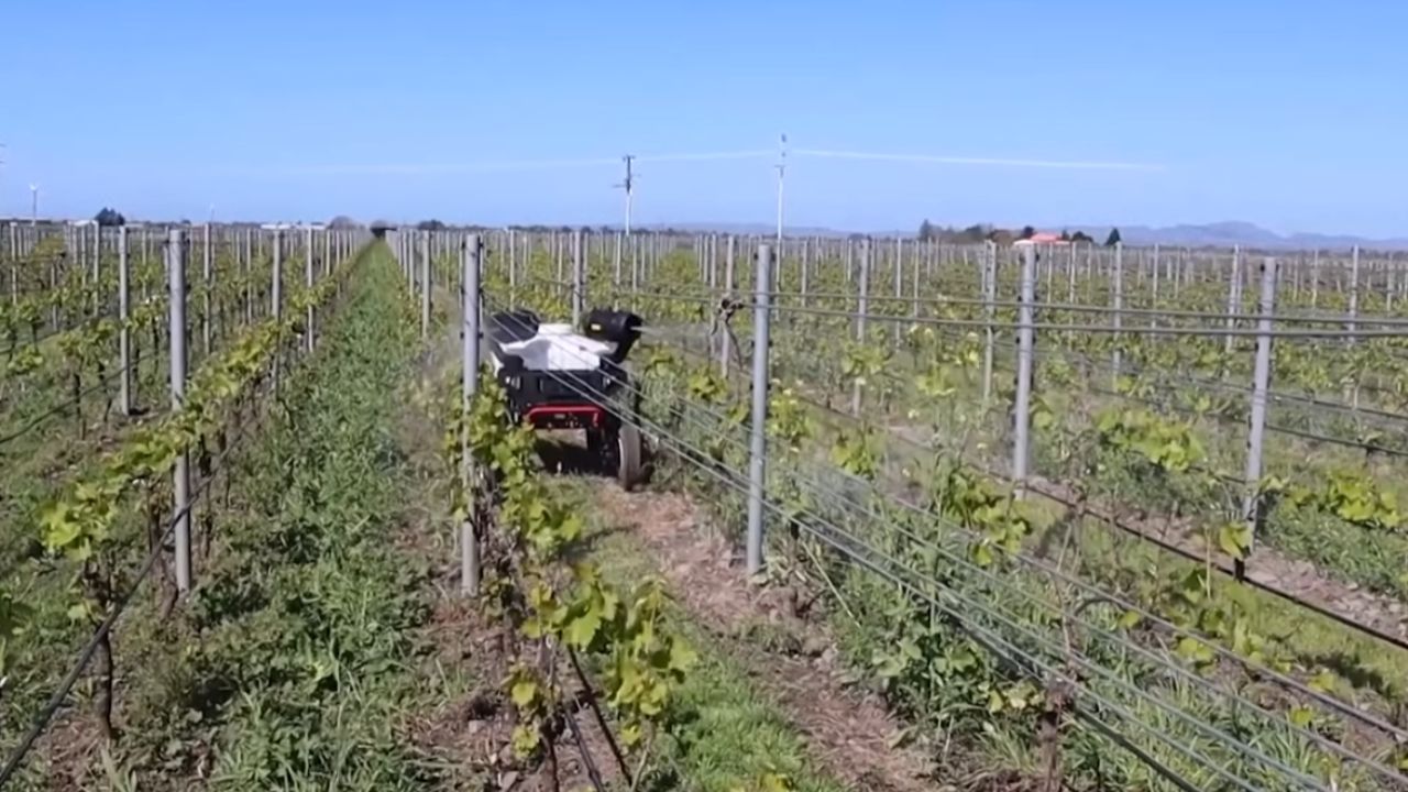 granja robótica y granja totalmente robótica: agricultura con IA, máquinas autónomas y sensores avanzados cambian siembra y ganado en China.