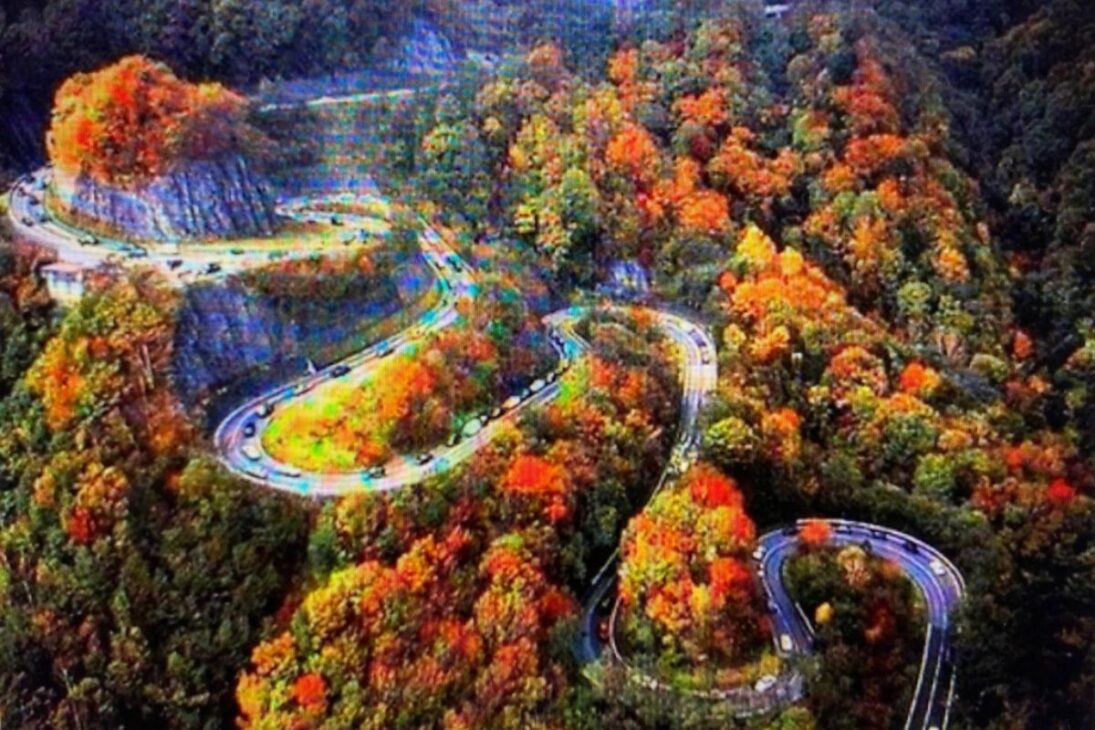 carretera Rabo del Dragón Tail of the Dragon en Carolina del Norte y Tennessee, en la U.S. Route 129, cruza las Great Smoky Mountains y ofrece curvas y aventura