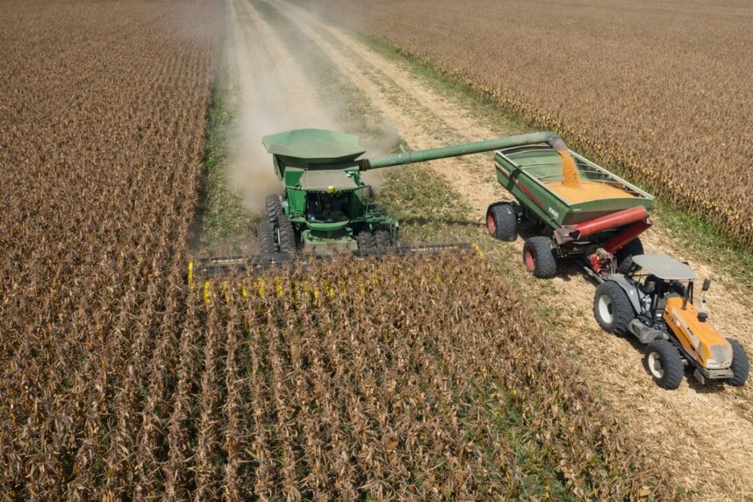 En Roraima, Solo Fértil, Clima Favorável, Tecnologia Da Embrapa E Integração Lavoura-Pecuária-Floresta Consolidam O Estado Como Fronteira Agrícola Do Brasil.