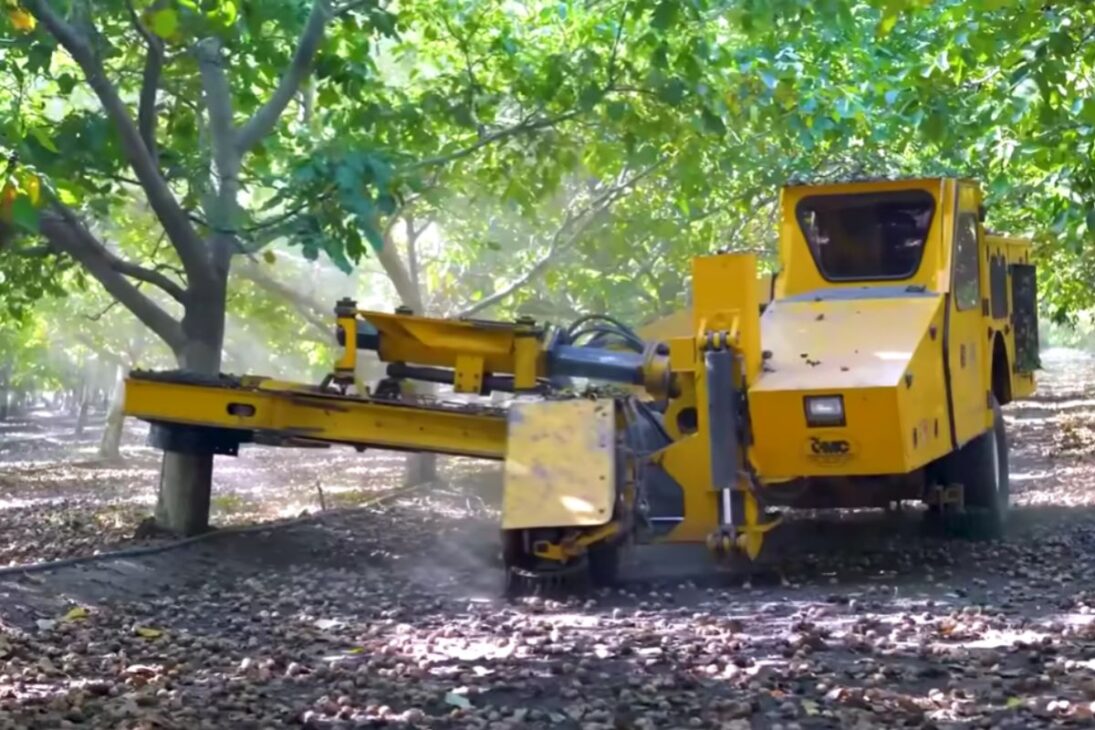 Ve cómo la industria de nueces en California organiza la producción de nueces, desde la cosecha de nueces hasta el procesamiento de nueces, llevando nueces estandarizadas al mundo.