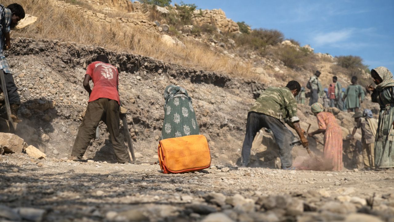 Comunidades de Etiopía regeneran bosques enteros con el método FMNR para plantar bosques sin plantar árboles y recuperar tierras muertas.