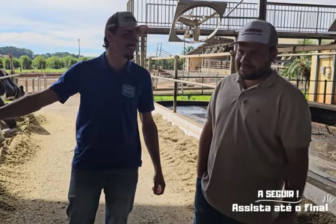 En La Granja Lechera Eudes Braga, Genética Holandesa En Sistema Compost Barn Transforman 9 Hectáreas En 16 Mil Litros Y Queso Minas Artesanal, Uniendo Productividad Y Alta Rentabilidad En El Campo.