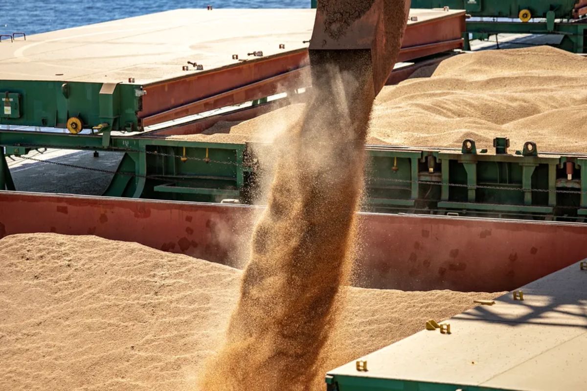 Em meio à guerra comercial, exportação brasileira de soja e amendoim para a China bate recorde e abre espaço para o sorgo em 2026.