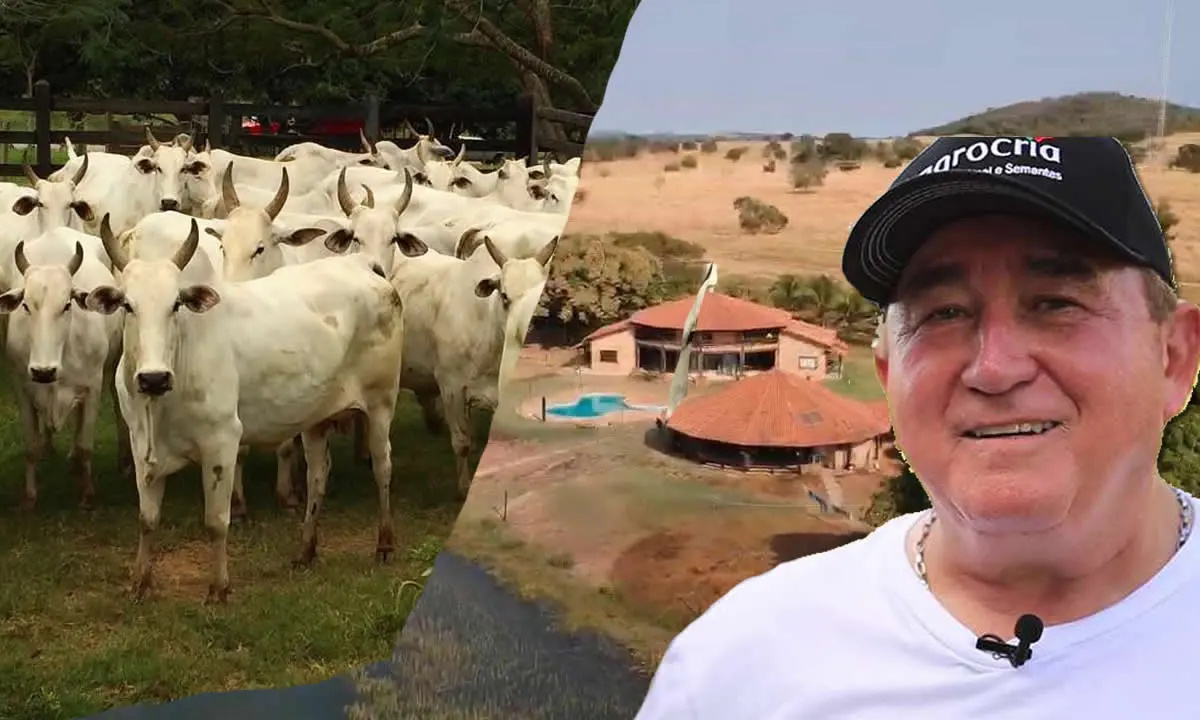 Amado Batista detalhou no podcast ROKAST como modelos de arrendamento, parcerias e manejo de 500 vacas podem gerar R$ 500.000 anuais, explicou projeções de R$ 41.667 mensais e relacionou música, gestão rural e debates tributários dentro de sua experiência direta