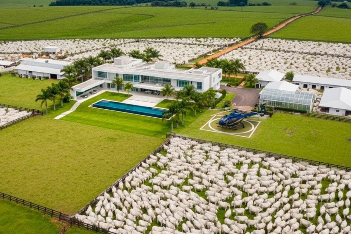 Fazendas gigantes negociadas por bilhões entram para a história do agro, com vendas recordes na Austrália e no Brasil, áreas maiores que cidades, milhares de cabeças de gado