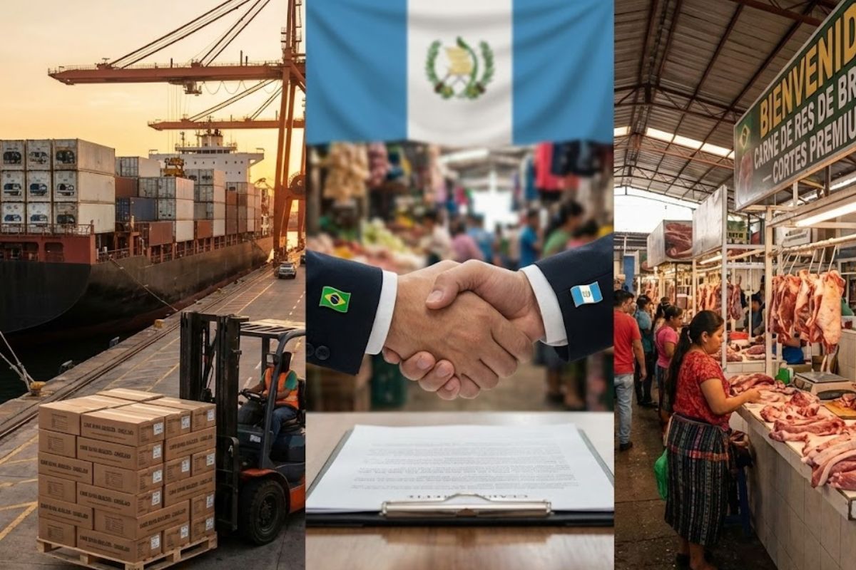 Brasil amplia exportação de carne bovina com entrada no mercado da Guatemala, destacando cortes congelados e novas oportunidades comerciais no agro.