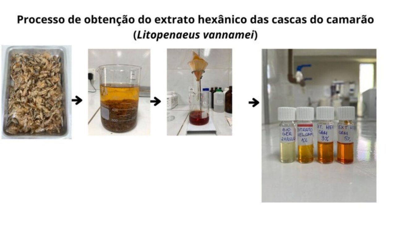 IFCE Desarrolla Investigación Innovadora de Lubricantes Sostenibles y Aditivos para Biocombustibles con Materias Primas del Nordeste
