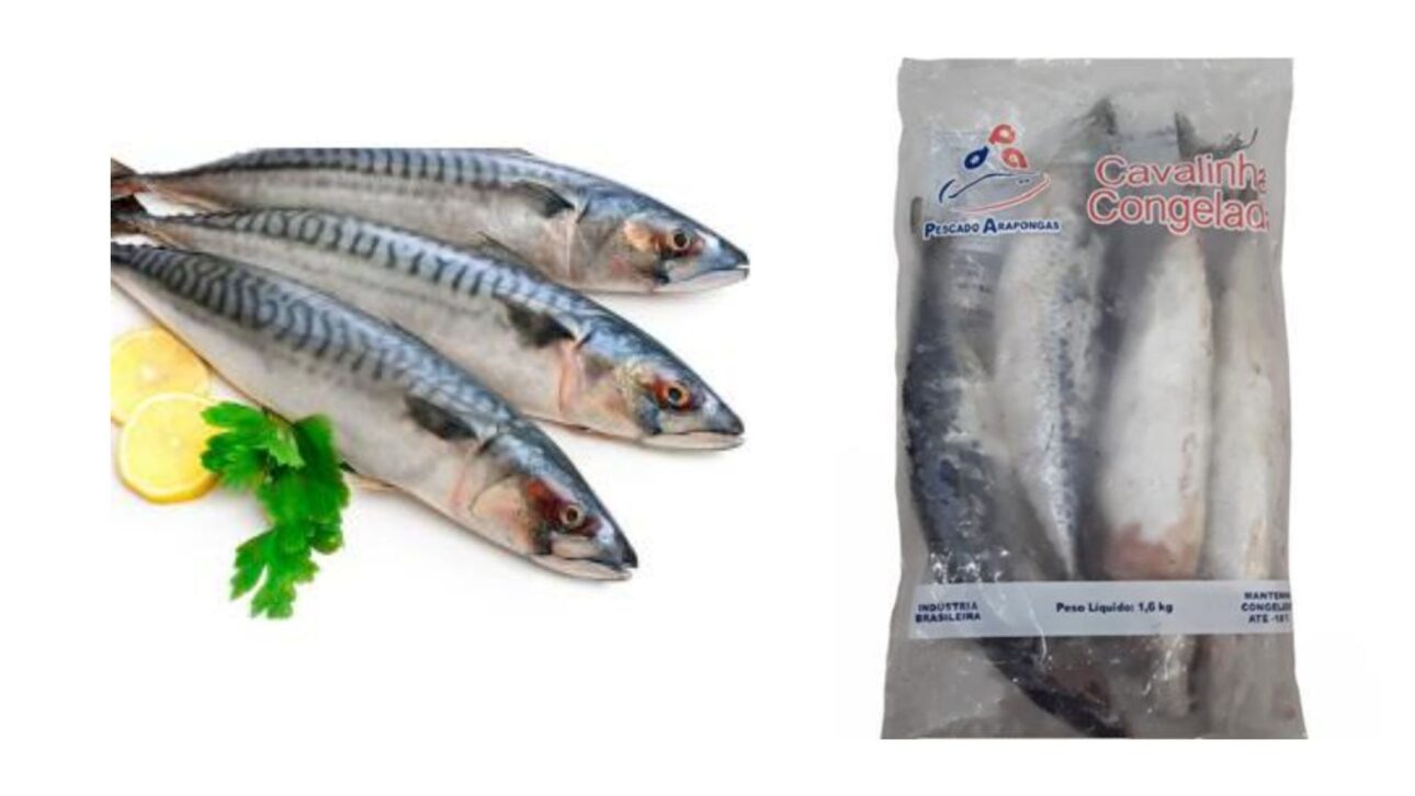 La Caballa Gana Espacio En La Mesa Del Brasileño Por Ser Barata, Rica En Omega-3 Y Altamente Nutritiva, Tornaéndose Opción Saludable Para El Día A Día.