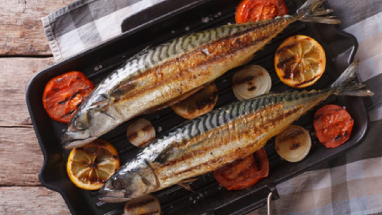 La Caballa Gana Espacio En La Mesa Del Brasileño Por Ser Barata, Rica En Omega-3 Y Altamente Nutritiva, Tornaéndose Opción Saludable Para El Día A Día.