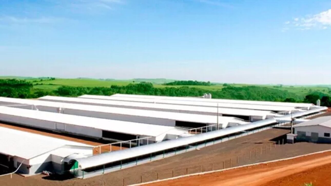 La Inversión de R$ 475 millones de Seara Expande la Producción de Aves en Paraná y Activa R$ 415 millones en Créditos de ICMS para Nuevos Proyectos.