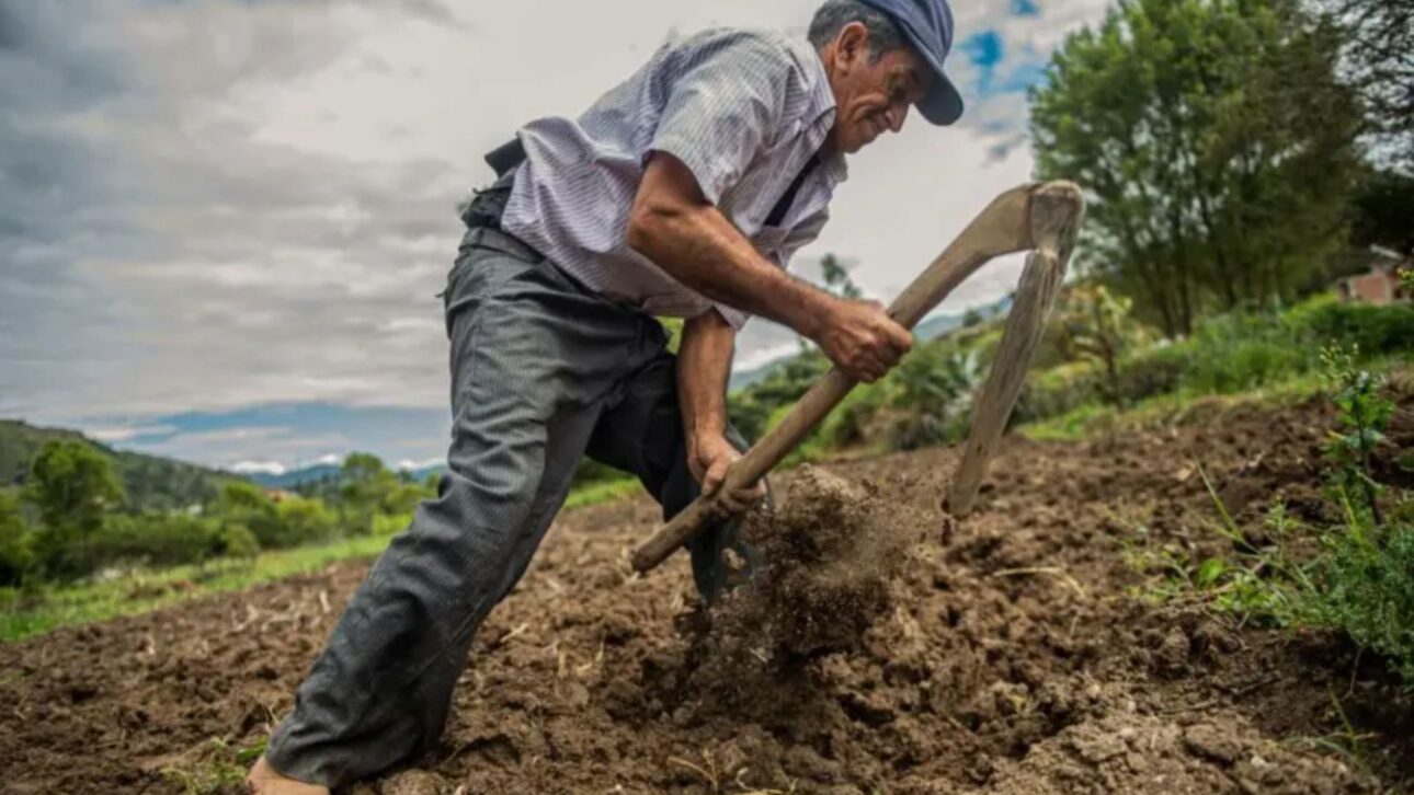 Desierto costero del Perú se convierte en polo agroexportador con riego avanzado, pero crece la disputa por agua y el riesgo de agotamiento de los acuíferos.