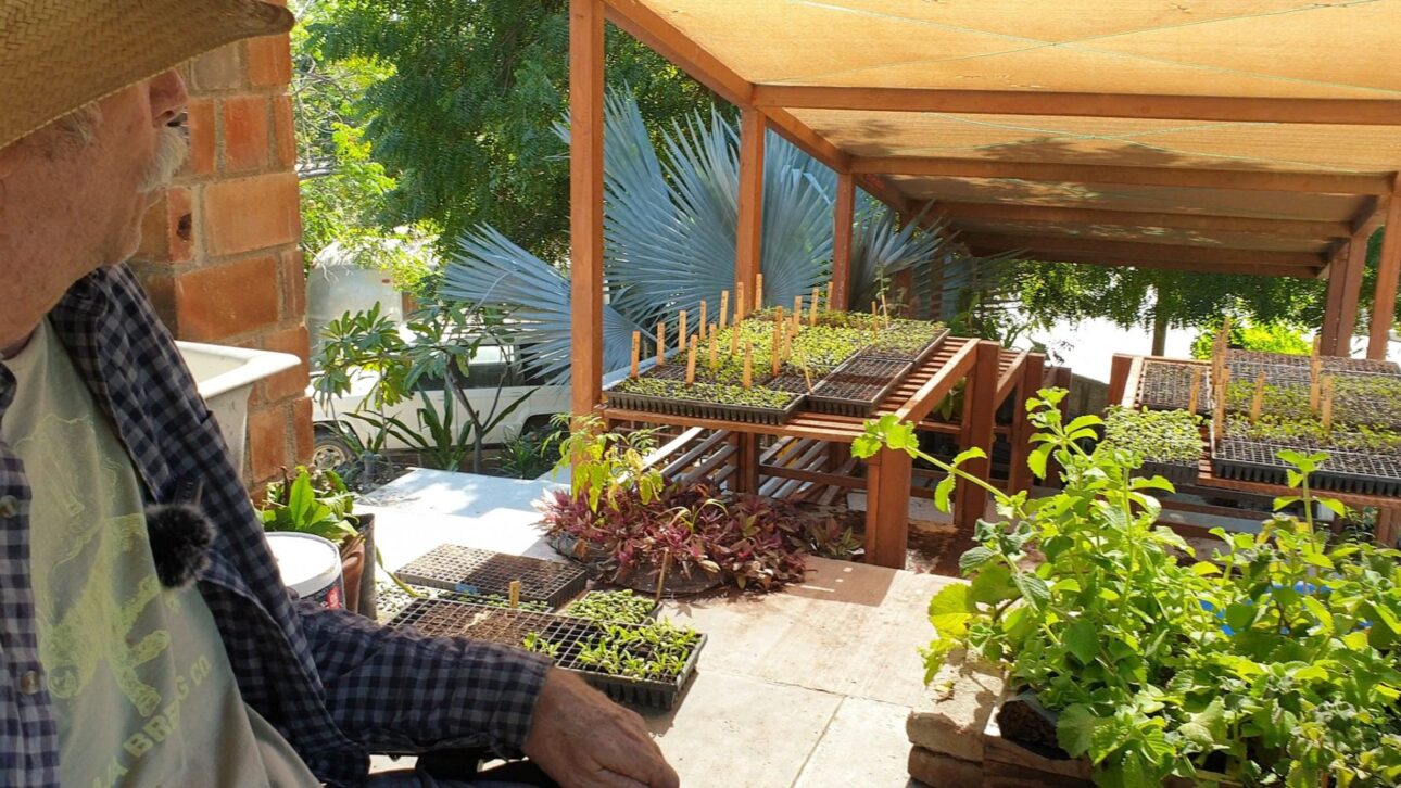 Agricultor transforma areia do deserto em solo fértil usando biochar, escavação profunda e manejo orgânico, produzindo 60 cultivos.