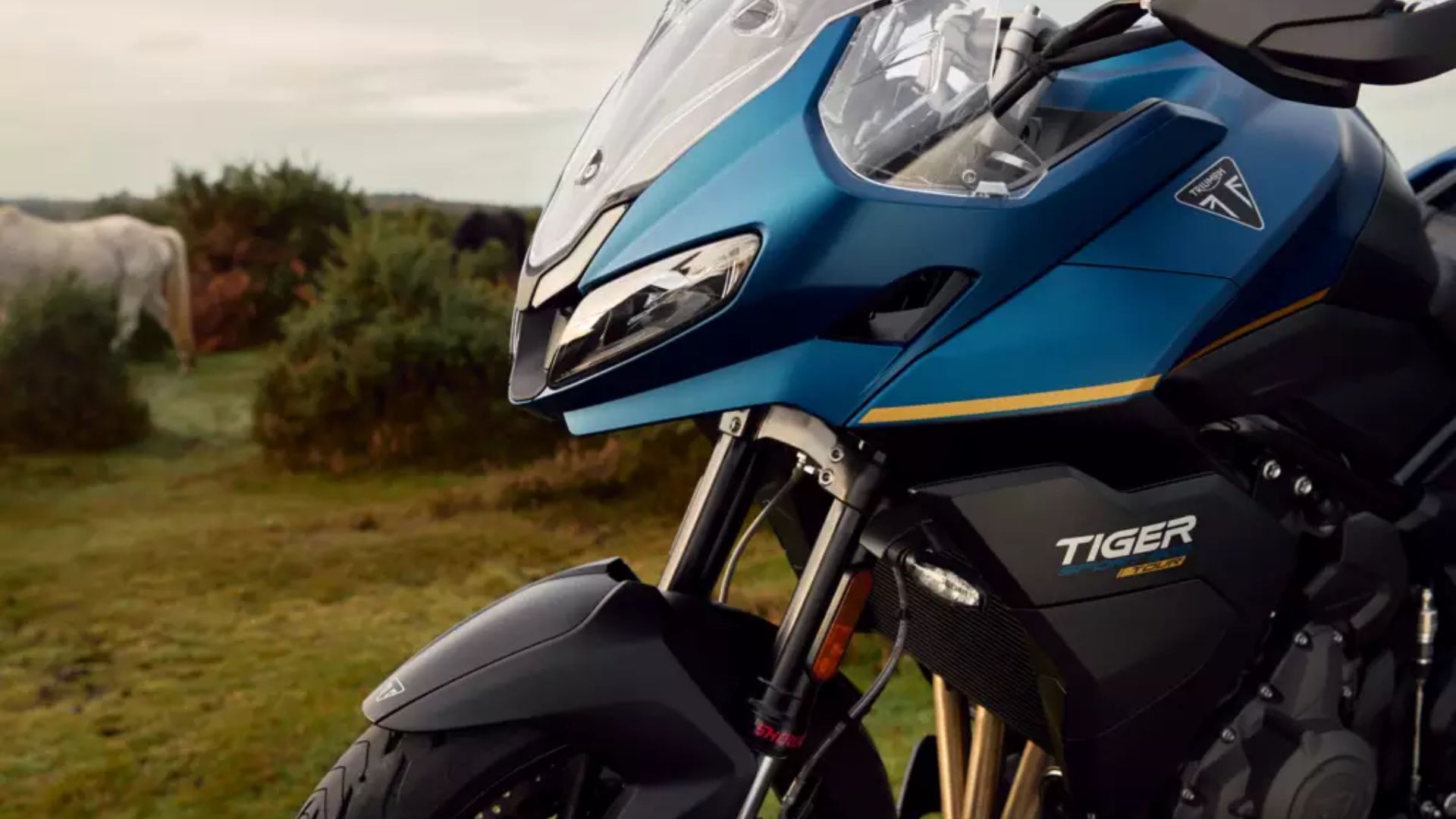 Nova Triumph Tiger Sport 800 Tour 2026 traz 115 cv, pacote touring completo, conectividade e bagagem integrada para competir entre as sport-touring.