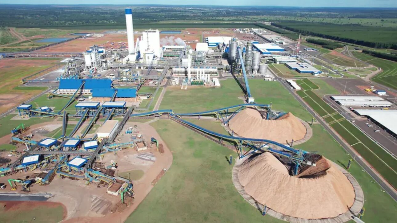 Fábrica millonaria de Suzano transforma Ribas do Rio Pardo, genera miles de empleos, bate récord de producción y proporciona energía renovable.