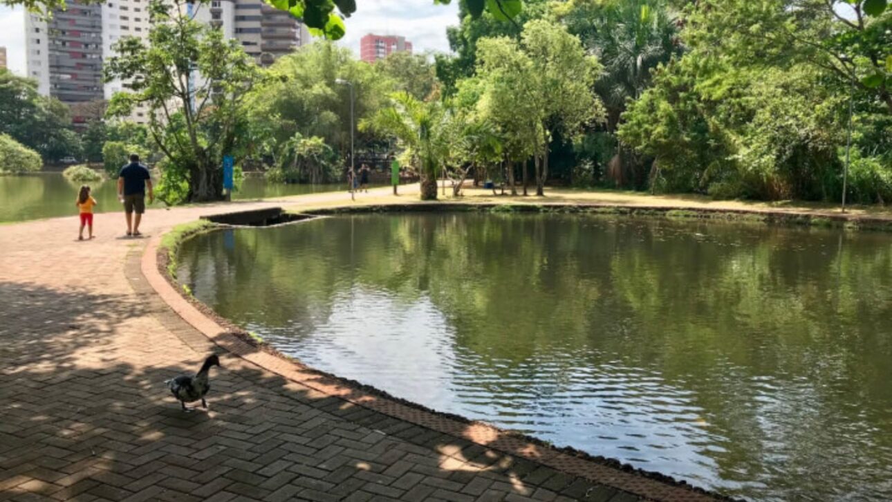 Goiânia se destaca internacionalmente con 94 m² de área verde por habitante, índice que supera parâmetros globais y refuerza debates sobre urbanismo y calidad de vida.