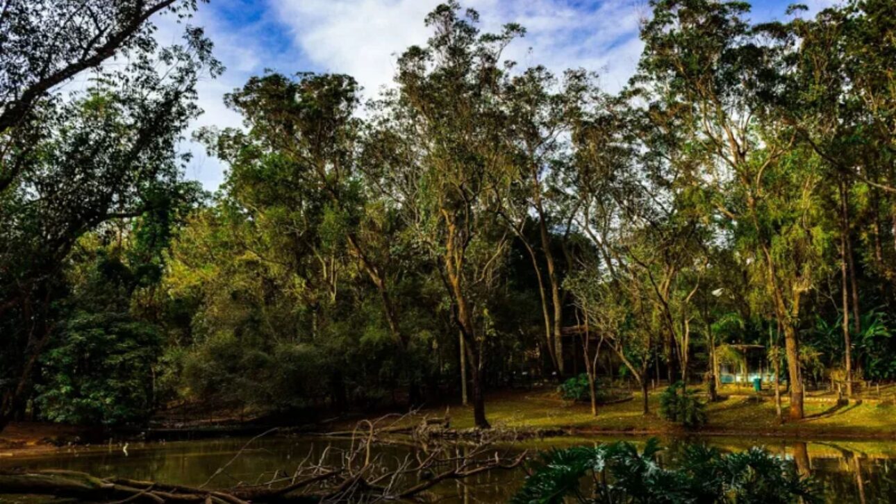 São Carlos, en el interior de São Paulo, se destaca en ranking de calidad de vida, con empleos, costo de vida menor, clima templado y buenos indicadores sociales.