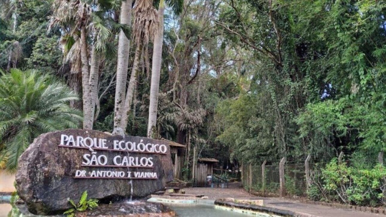 São Carlos, en el interior de São Paulo, se destaca en ranking de calidad de vida, con empleos, costo de vida menor, clima templado y buenos indicadores sociales.