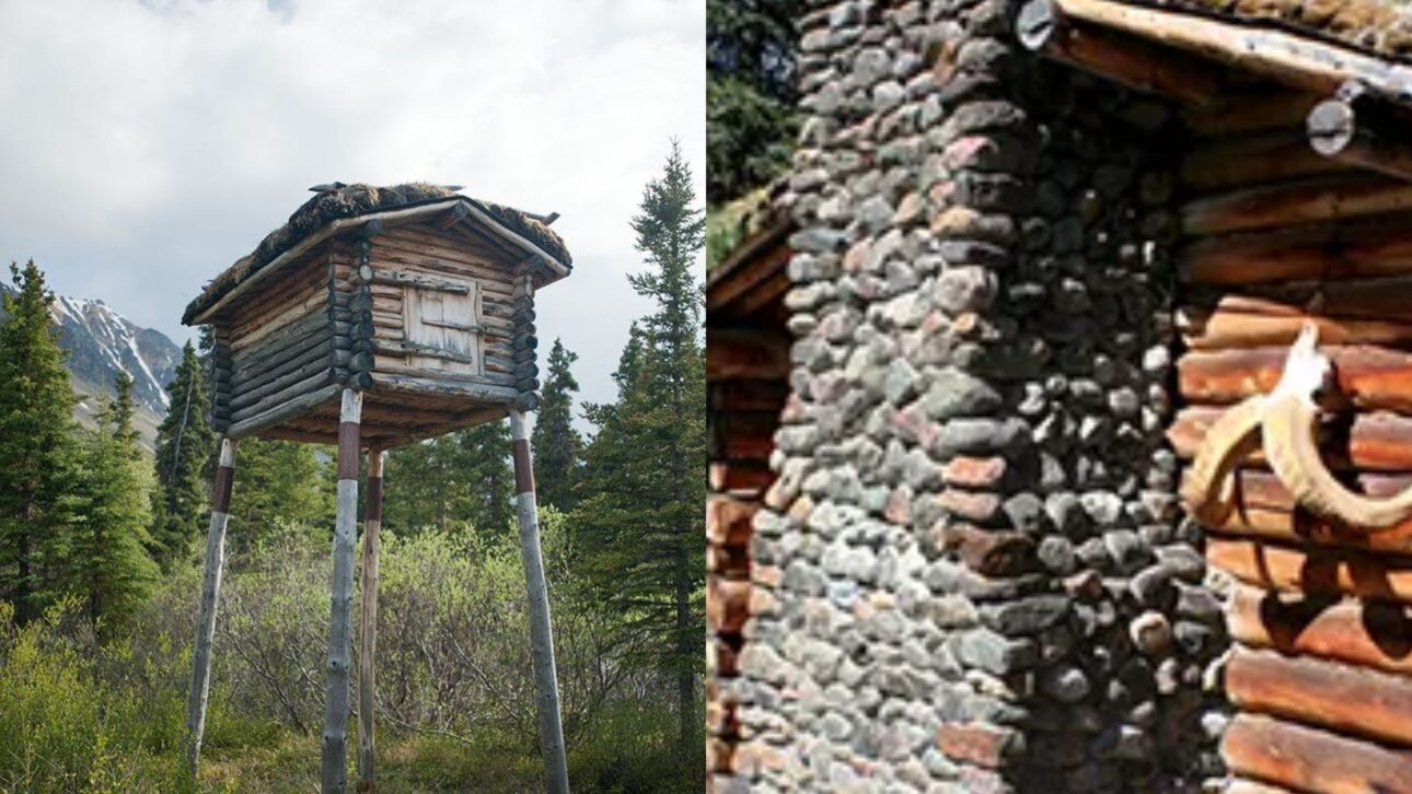 Aposentado constrói sozinho cabana no Alasca com ferramentas manuais, vive 30 anos isolado e tem abrigo reconhecido como patrimônio histórico.