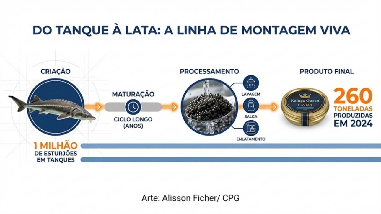 China Lidera El Caviar Global Con La Kaluga Queen: Esturiones En Tanques, 260 T/Año, Exportaciones En Masa Y Cadena Industrial En Agua Dulce.