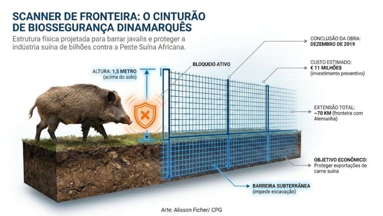 Dinamarca eleva cerca en la frontera con Alemania para detener jabalíes y reducir el riesgo de peste porcina africana en la producción porcina exportadora.