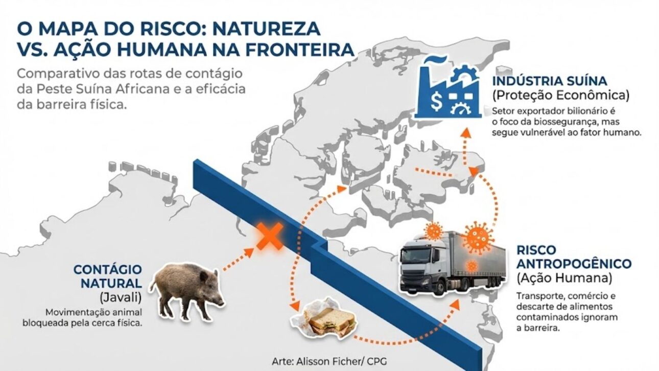 Dinamarca eleva cerca en la frontera con Alemania para detener jabalíes y reducir el riesgo de peste porcina africana en la producción porcina exportadora.