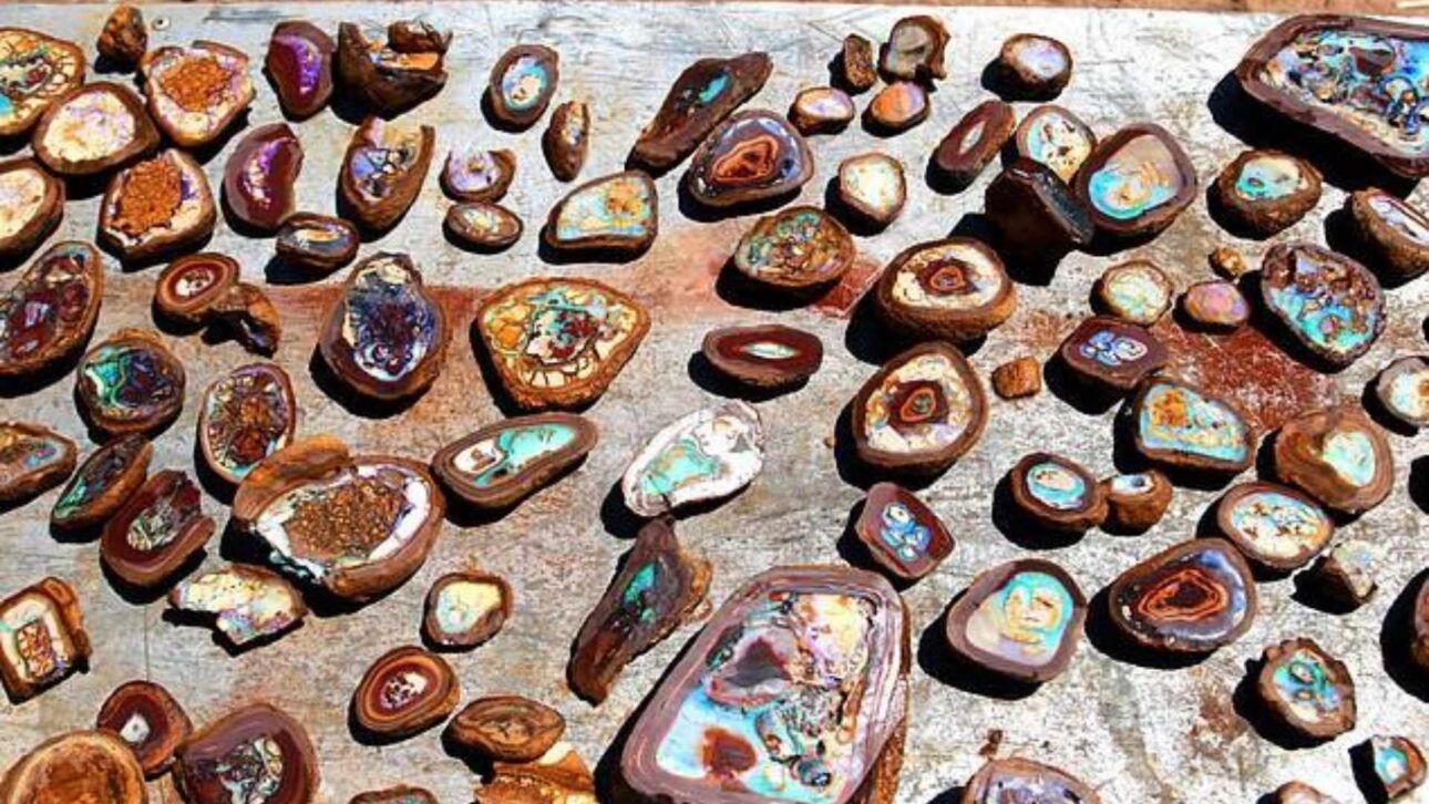 Garimpeiro corta rocha pesada e revela opala rara de quase 400 g em Queensland; peça foi avaliada e incorporada a acervo público na Austrália.