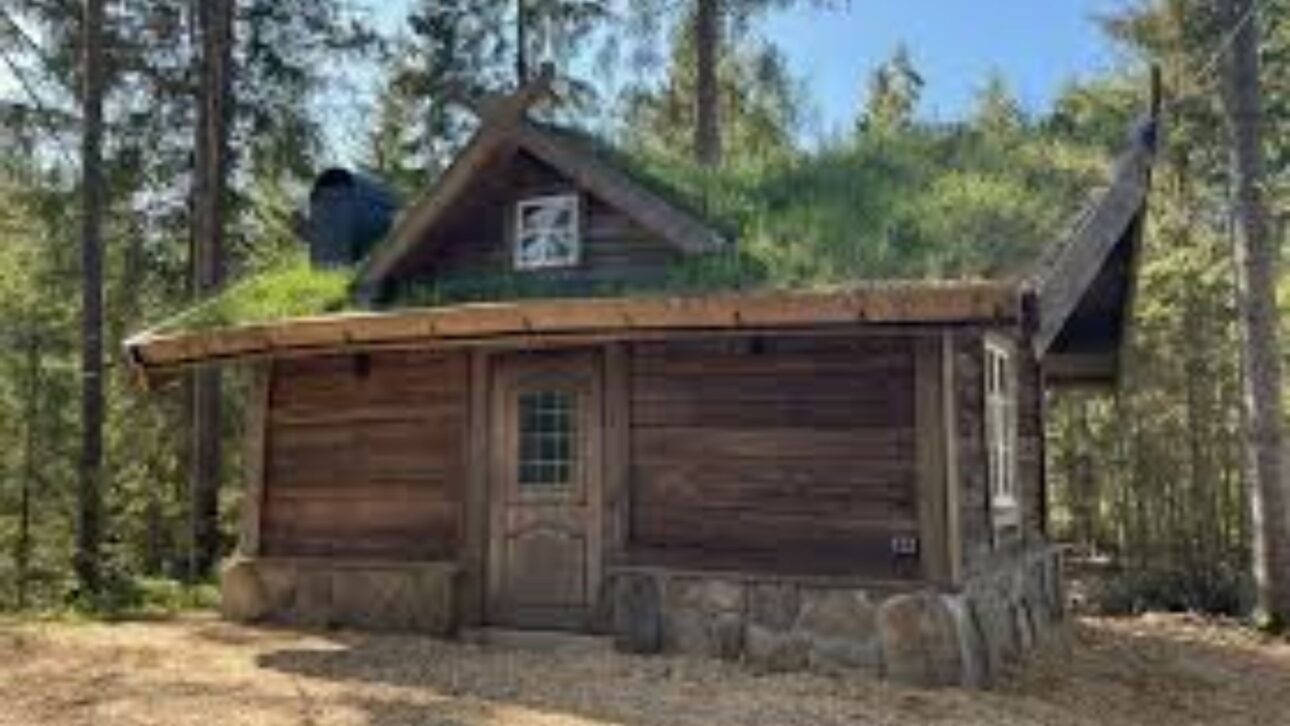 Joven sueco construye solo cabaña de troncos en el bosque usando hacha y sierra, sin máquinas, y pasa años erigiendo casa fuera de lo urbano.