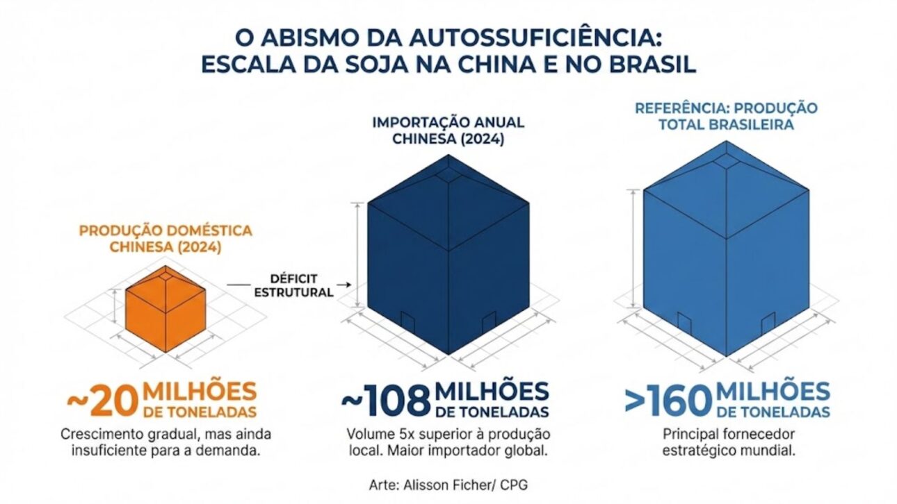 China señala reducción de la dependencia de soja importada, amplía producción interna y enciende alerta en el agronegocio brasileño, principal proveedor del grano al país asiático.