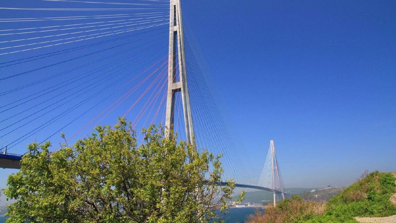 El Puente Russky reúne 22.567 toneladas de acero y torres de 320 metros, diseñadas para operar bajo vientos intensos, hielo y variación extrema de temperatura.