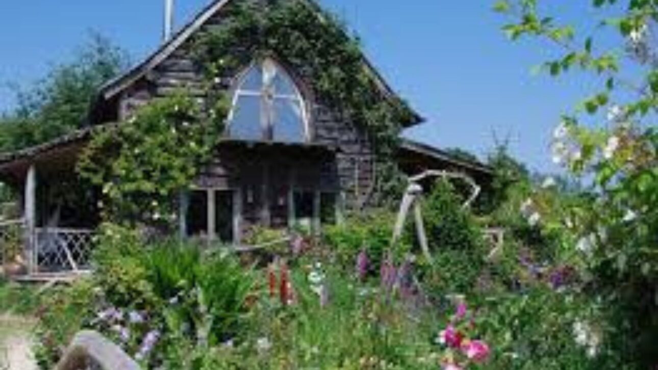 Leñador construye casa en el bosque con madera local, paja y revoque de tierra, vive fuera de la red con energía solar y eólica y gana destaque en el programa Grand Designs.