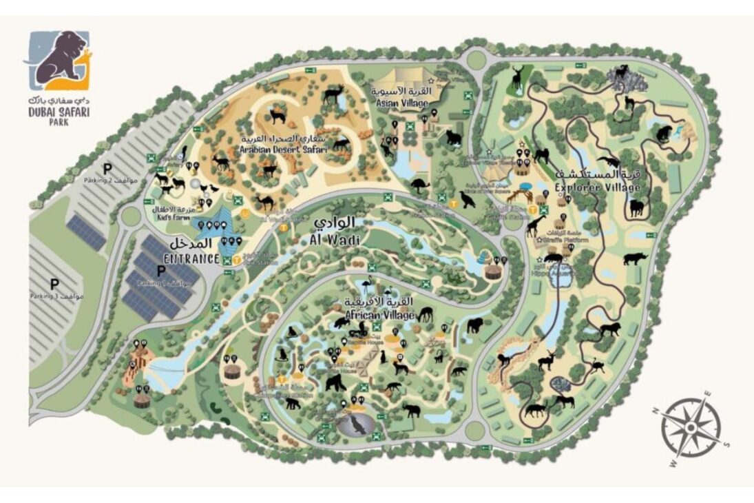 el mayor parque de vida salvaje de Dubái, el Dubai Safari Park, ofrece safari en Dubái con elefantes en la piscina y granjita para niños en hasta seis horas.