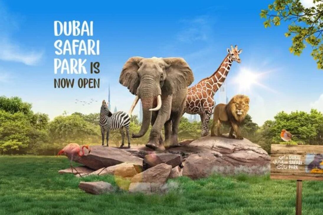 el mayor parque de vida salvaje de Dubái, el Dubai Safari Park, ofrece safari en Dubái con elefantes en la piscina y granjita para niños en hasta seis horas.