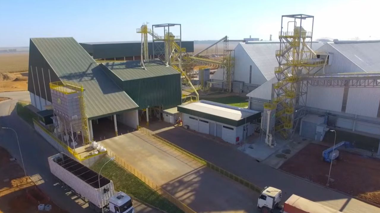 Maíz en el Centro-Oeste sostiene usinas en el Centro-Oeste con etanol de maíz y DDG, fortalece biocombustibles y cambia la lógica de la energía rural brasileña.