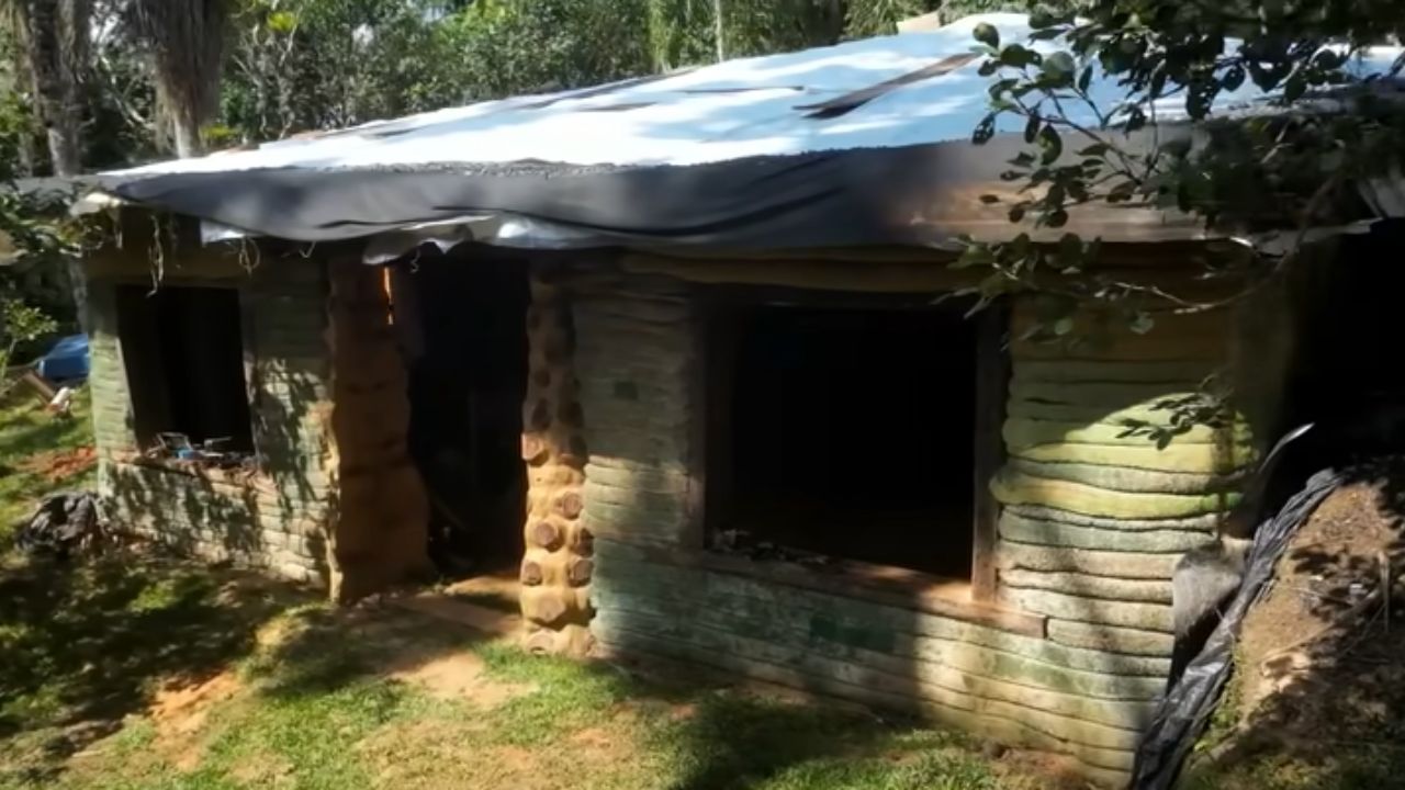 Vida autosuficiente con energía solar, café en la mata, bunker de alimentos y remedios naturales para vivir fuera del sistema en Santa Catarina.