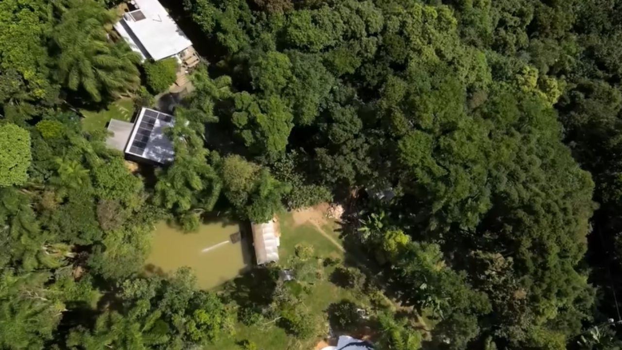 Morador de Santa Catarina cria vida autossuficiente longe da cidade, produz energia solar, cultiva café na mata, estoca alimentos em bunker, faz cachaça