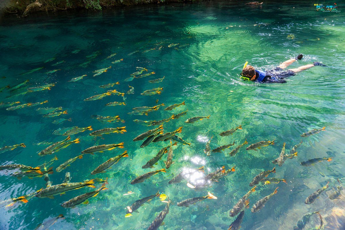 Bonito, considerado o lugar mais bonito do Brasil, se destaca pelo turismo sustentável em clima de cidade pequena, cercado de natureza e cada vez mais desejado para morar e trabalhar.