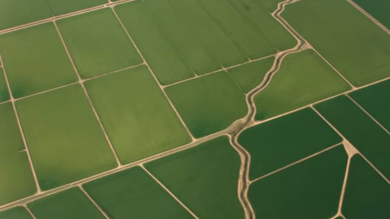 Onde estão as terras mais baratas e mais caras do Brasil Hectare por menos de R$ 1.000 no Piauí e até R$ 2 milhões em São Paulo (1)