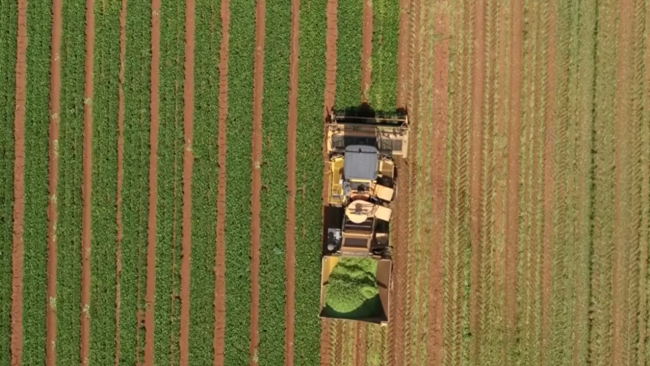 Precio del hectárea en el Atlas del mercado de tierras explica tierras más baratas, tierras más caras y expansión urbana en Brasil.