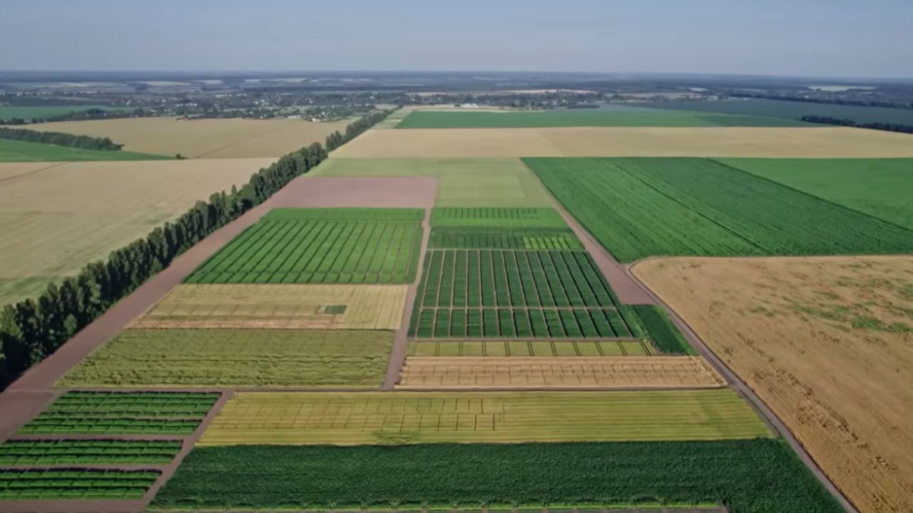 Precio del hectárea en el Atlas del mercado de tierras explica tierras más baratas, tierras más caras y expansión urbana en Brasil.
