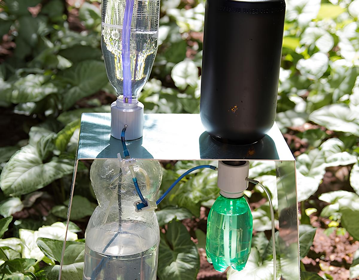 Pesquisador brasileiro cria irrigador automático com garrafas usadas e calor do sol, dispensa energia elétrica e oferece solução de baixo custo para hortas e pequenas propriedades em regiões secas