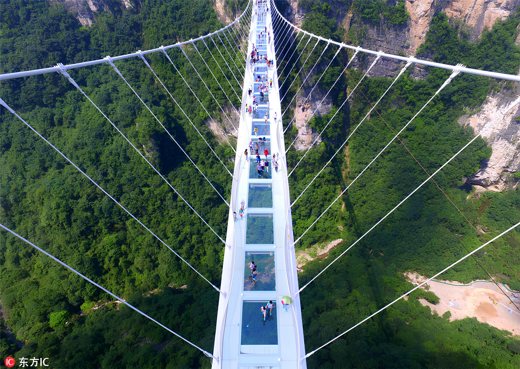 A ponte de vidro suspensa a mais de 300 metros de altura na China onde turistas travam de medo ao caminhar sobre um cânion gigante totalmente transparente