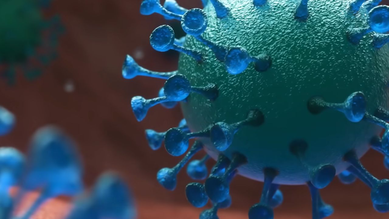 Descubre los secretos del hielo en la Antártida. Descubre por qué es imposible llegar al continente más aislado, protegido por leyes y peligros extremos.