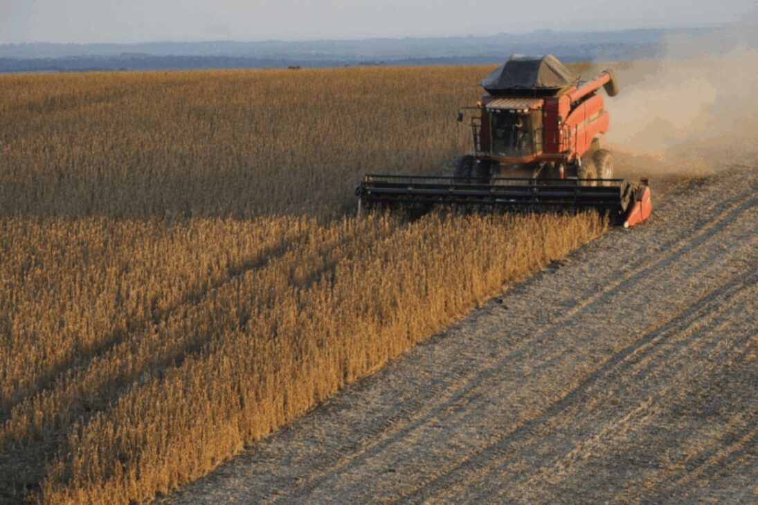 China amplía inversiones chinas en Brasil, impulsadas por soja brasileña, en escenario de comercio global en cambio y riesgo de dependencia de Pekín.