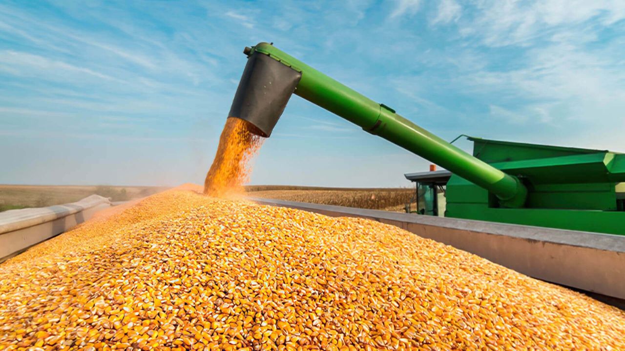 La safrinha y la agricultura de soja y maíz en Brasil compiten por espacio con el productor estadounidense del Corn Belt y ayudan a definir el precio de los alimentos en el mundo.