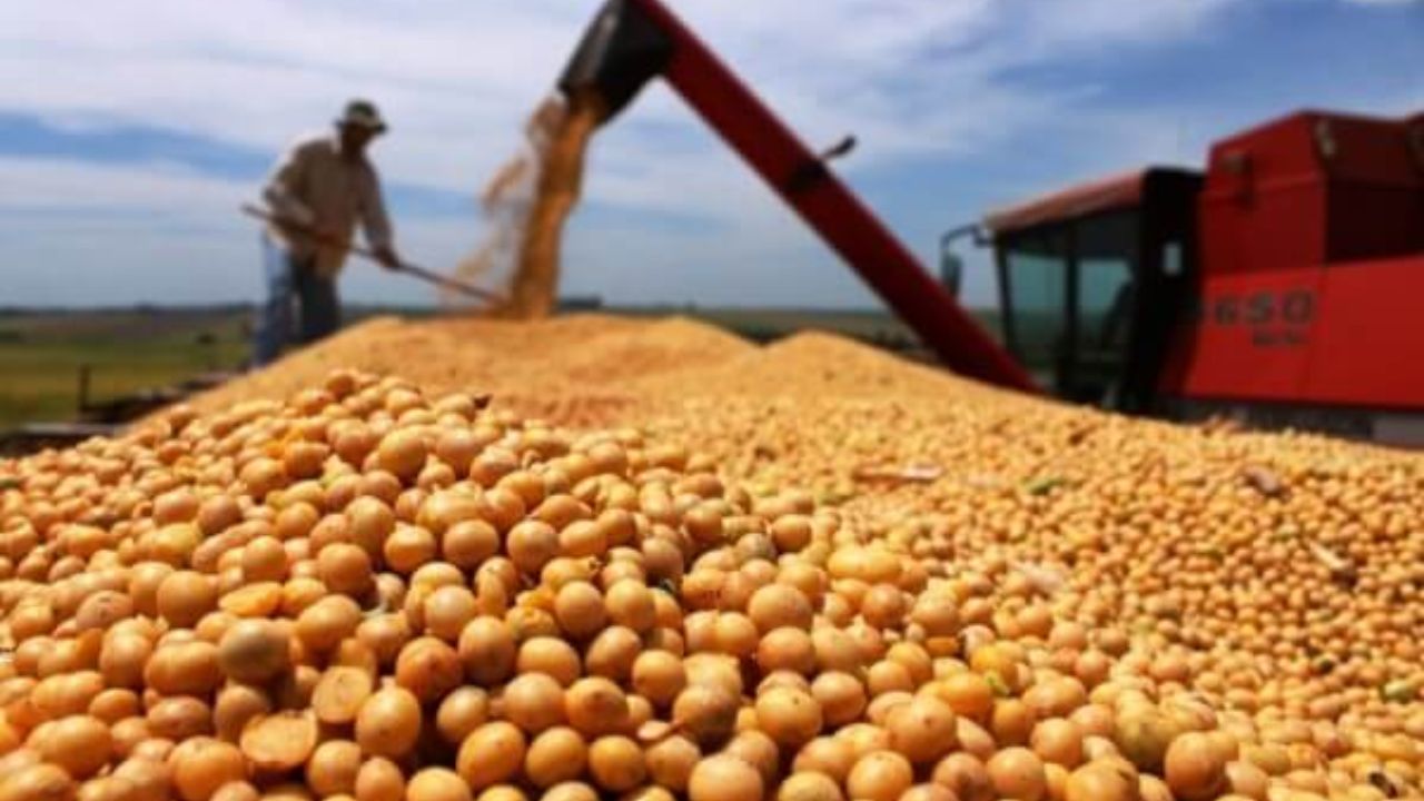 La safrinha y la agricultura de soja y maíz en Brasil compiten por espacio con el productor estadounidense del Corn Belt y ayudan a definir el precio de los alimentos en el mundo.