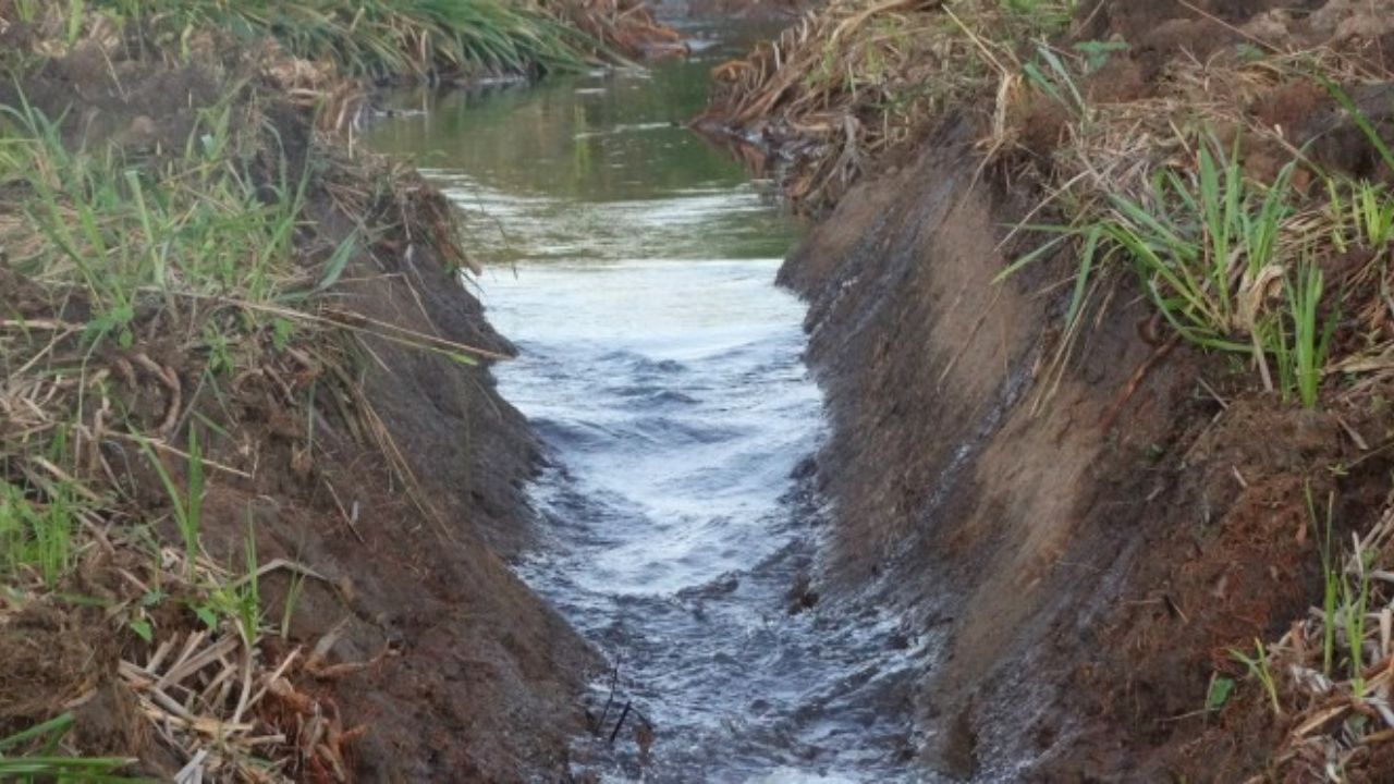 Errores comunes en el campo que parecen normales se convierten en crimen ambiental, generan multa ambiental, son detectados por satélite ambiental y requieren autorización ambiental para evitar embargo.