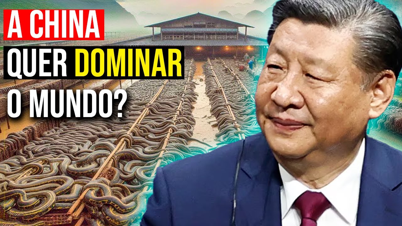 Com fazendas que abrigam milhões de cobras por ano e venenos usados na indústria farmacêutica, China e Vietnã transformaram répteis peçonhentos em uma cadeia bilionária de carne, couro e fármacos