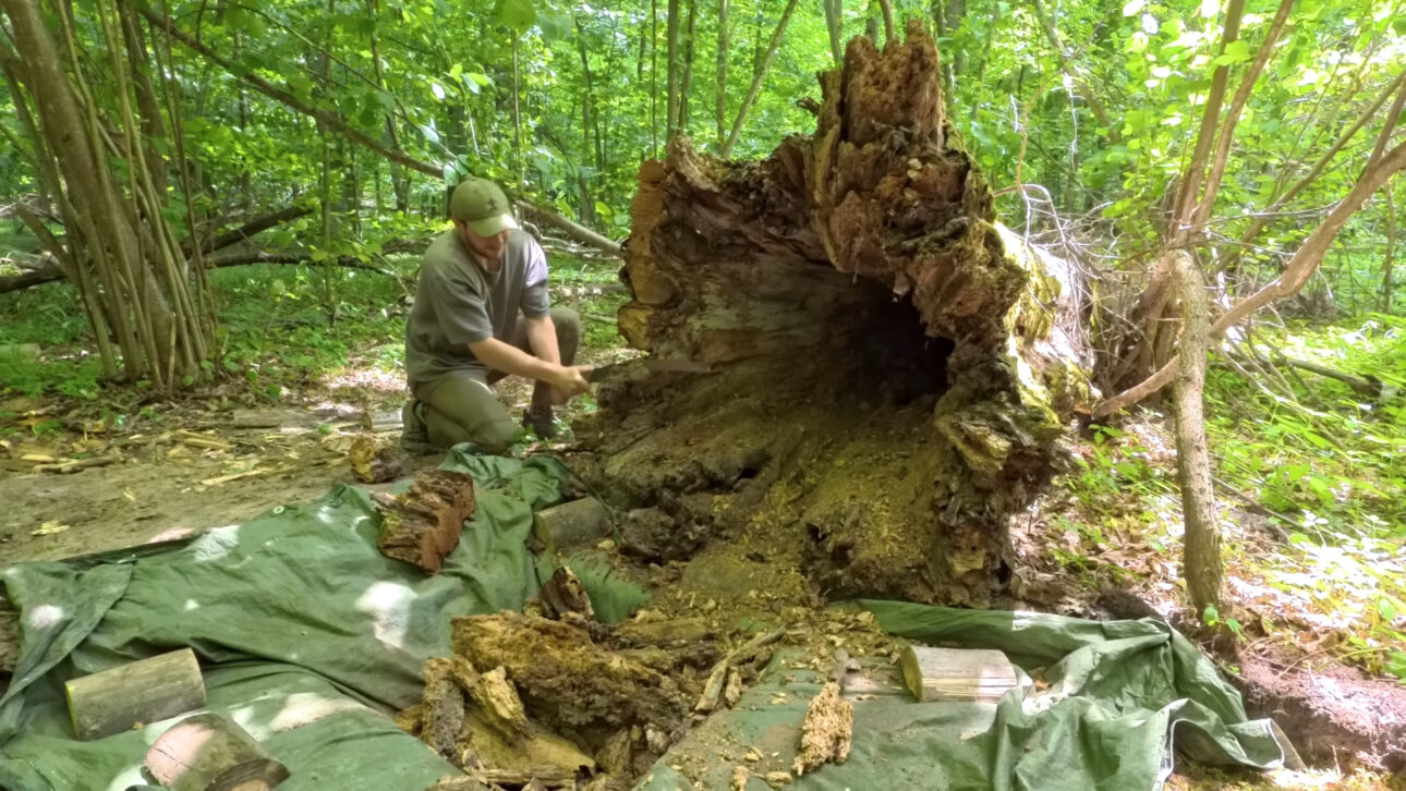 Después de fallar en excavar una cueva en la montaña, hombre adapta el proyecto y construye un refugio de juncos usando técnicas primitivas de bushcraft