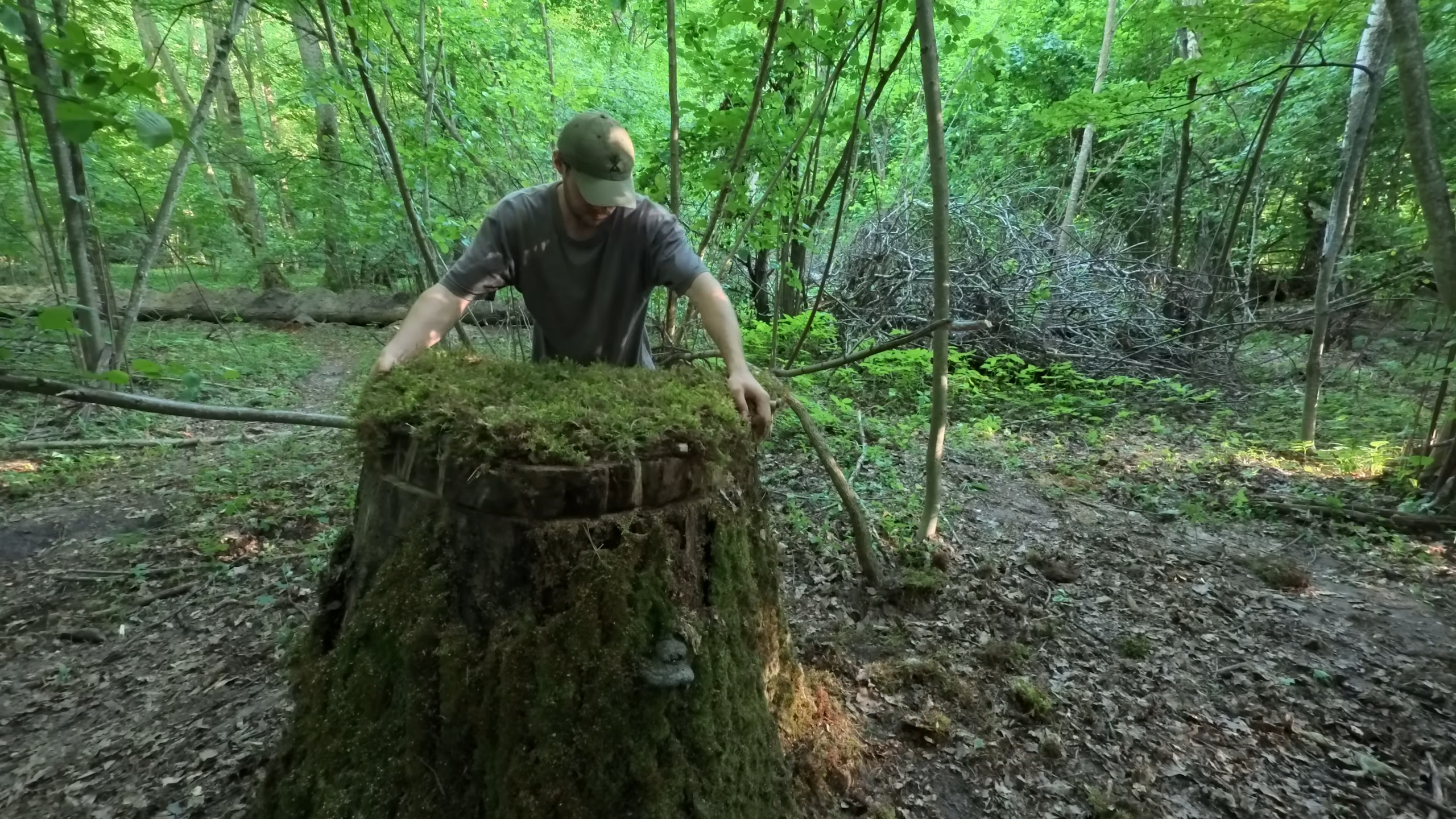 Homem constrói uma "cabana secreta" subterrânea sob uma árvore gigante, usa troncos secos, barro e musgo para criar um abrigo na floresta sem uso de máquinas modernas