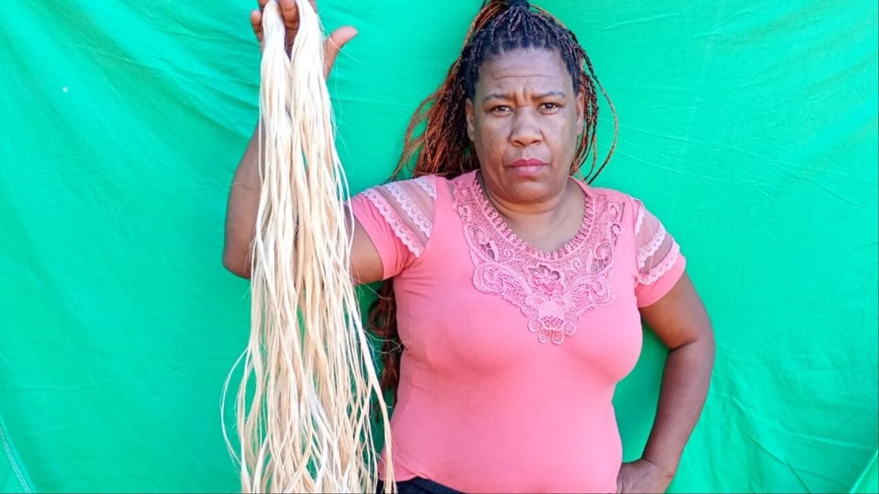 Cabello sostenible, Cabello